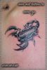 Татуировка - скорпион. Перекрытие небольшой некачественной татуировки. Cover up.