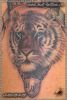 Черно-белая татуировка тигр-ВДВ. Мужская тату на плече.