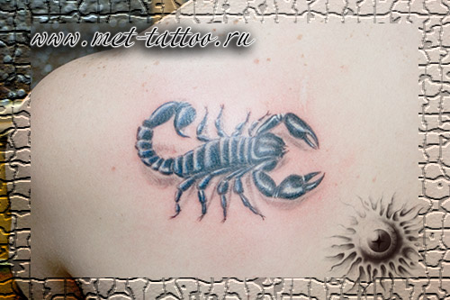Татуировка скорпиона на лопатке: значение и символика