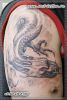 Фото мужской черно-белой татуировки. Тату дракон на плече. Сделана в в тату-салоне в Петербурге.