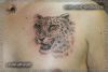 Татуировка-леопард. Черно-белая мужская татуировка на груди.