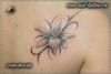 Фото татуировки на лопатке у девушки. Женская черно-белая татуировка - цветок с орнаментом. 