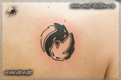Фото черно - белой тату, кошачий знак инь-ян. Женская татуировка на лопатке.
