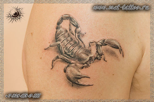 Фото черно-белой татуировки. Скорпион, реализм. Мужская тату на плече.