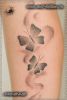 Тату бабочки. Женская черно-белая татуировка на голени.